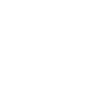 Cleverdist